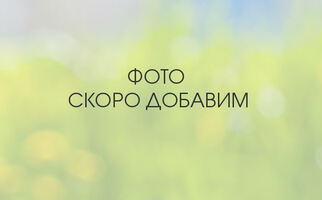 Стройка (8)