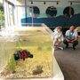 Аквакомплект для подводной робототехники №3 с соревновательными полями