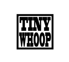 Элемент трассы Tiny Whoop - Кольцо без диодов