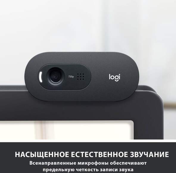 Web-камера LOGITECH C505,  черный [960-001364]