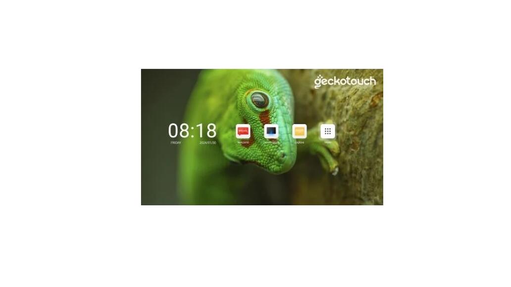 Светодиодный LED-экран Geckotouch 231''