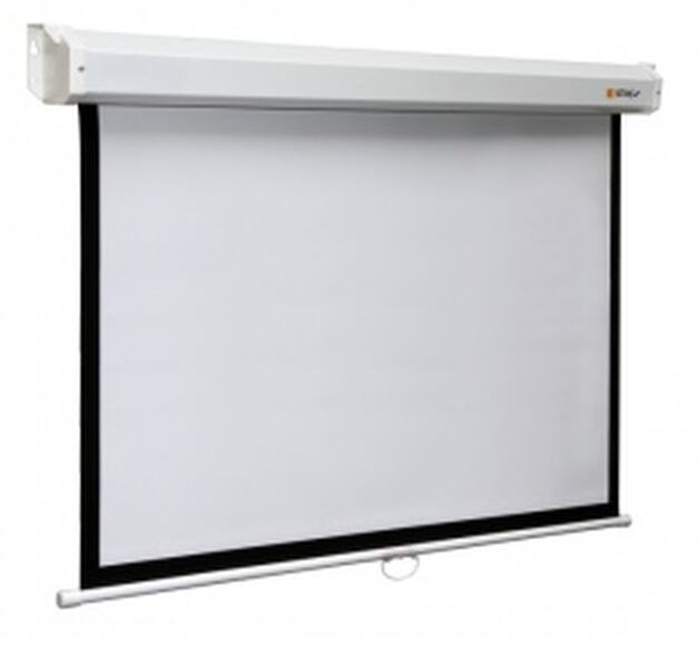 Экран настенный Digis DSSM-1108 (Space, формат 1:1, 161", 300*300, MW)