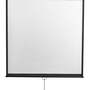 Экран настенный Digis DSOD-1104 (Optimal-D, формат 1:1, 100", 186x189, рабочая поверхность 180x180, 