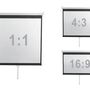 Экран настенный Digis DSOD-16907 Optimal-D, формат 16:9, 135", 308x177, рабочая поверхность 300x168,